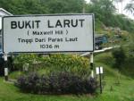 Bukit Larut